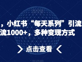 小红书运营黑马玩法，13个粉丝写5篇笔记轻松增长1w+