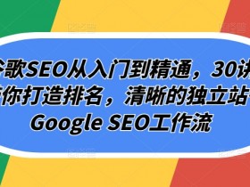 Googleseo文章优化如何优化网站文章提升SEO效果，用Googleseo优化文章内容提升排名