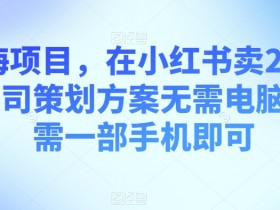 小红书运营黑马玩法，13个粉丝写5篇笔记轻松增长1w+