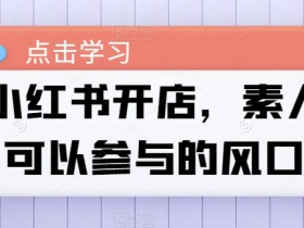 短剧推广蓝海项目解析，小红书如何低门槛赚大钱？