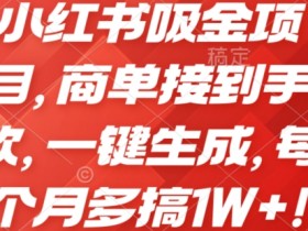 如何快速推广小红书短剧，从零到爆款的全程干货分享