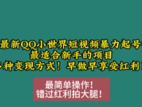 短视频运营如何打造私域流量池，从引流到变现的全流程解析