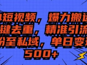 短视频如何通过电商变现，从带货到推广的全攻略