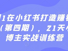 小红书推流逻辑全揭秘，掌握核心机制轻松打造爆款笔记