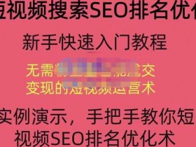 抖音SEO引流全攻略，零基础学会搜索优化的核心玩法