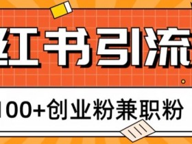 如何快速推广小红书短剧，从零到爆款的全程干货分享