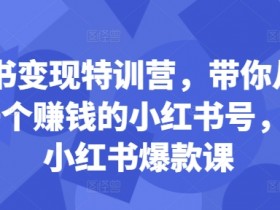 小红书海外旅游怎么玩，虚拟项目从分类到收益的全攻略