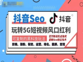 抖音SEO关键词优化PPT，从基础到实战的优化演示教程