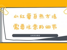 如何规划小红书运营项目，轻松完成方案编写的入门指南