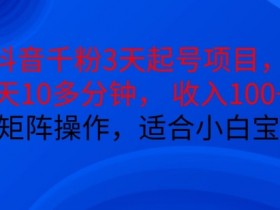 抖音营销工具组合玩法，内容创作与推广同步提升的诀窍