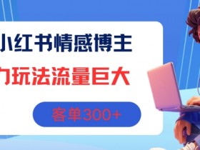 小红书掘金训练是真的吗，训练营收益与实战体验全解析