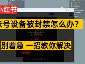 短剧搬砖操作全解析，小红书如何快速实现收益增长？