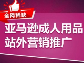 亚马逊成人用品如何选择目标市场，各国政策与需求分析