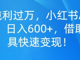 小红书笔记带货怎么玩，简单步骤和高效操作方式全解析