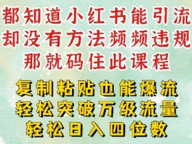 小红书掘金虚拟项目的操作技巧，低成本引流的玩法解析