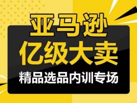 亚马逊新手运营经验分享，少走弯路的核心技巧