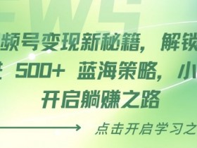 视频号素人矩阵的盈利模式，从涨粉到变现的完整策略