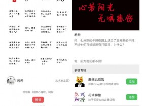 表情包项目如何提高作品质量，从创意到制作的实用技巧