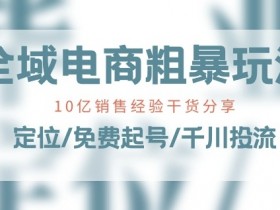 全域电商运营实战案例，学习全域电商成功运营的实际案例与经验