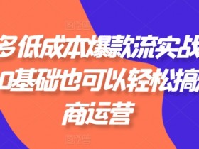 拼多多无人直播如何实现数据化运营，从分析到优化的实战技巧