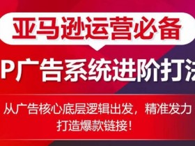 亚马逊成人用品站外引流案例，如何通过社交媒体提升转化率？