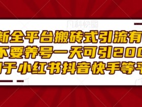 小红书图文矩阵怎么搭建，引流策略与账号矩阵玩法全解析