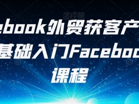 如何通过Facebook广告提升品牌知名度，真实案例分享