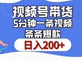 视频号直播如何选赛道，适合新手入门的蓝海项目推荐