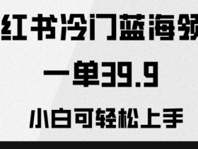 小红书笔记带货引流常见误区，如何避坑让效果翻倍？