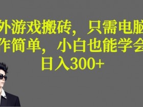 国外游戏搬砖项目怎么做，在国外市场如何成功运营游戏搬砖项目