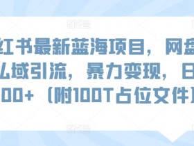 小红书推流机制的核心是什么，全方位解析运营逻辑