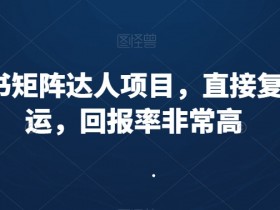 如何写小红书运营工作内容，简历与求职的高分模板分享