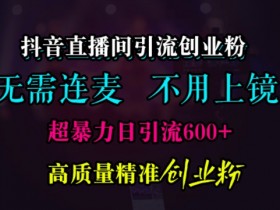 抖音社群如何通过用户画像优化运营，精准吸粉的核心策略