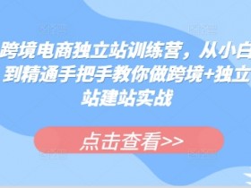 如何做迪拜跨境电商成功案例分析，迪拜电商成功运营指南