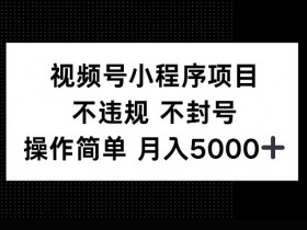 视频号直播数据工具推荐，实时掌握直播效果的分析软件