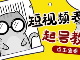 表情包变现玩法揭秘，2分钟一个视频轻松日入800+