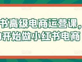 短剧推广蓝海项目解析，小红书如何低门槛赚大钱？