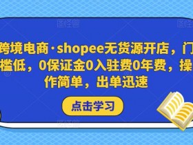 如何做迪拜跨境电商成功案例分析，迪拜电商成功运营指南