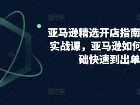 亚马逊成人用品成功卖家经验分享，如何打造月销百万的店铺？