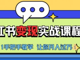 小红书旅游项目运营全攻略，从分类选择到变现的详细流程