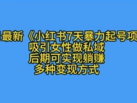 如何用小红书矩阵推广，高效引流创业粉的核心技巧