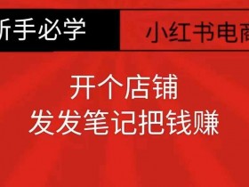 小红书矩阵引流适合哪些行业，创业粉精准获客的玩法解析