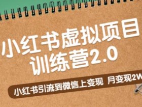 虚拟商品项目真实案例，小红书变现全新思路分享