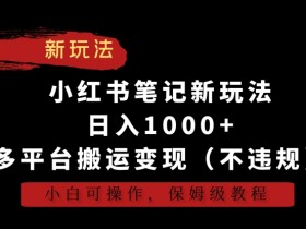 小红书运营的底层逻辑，搞懂这些点轻松玩转平台运营