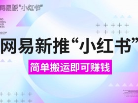 如何用小红书图文矩阵做推广，日引流量100+的秘籍分享