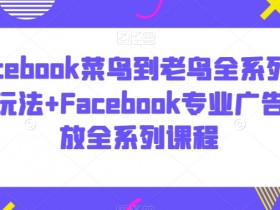 如何通过Facebook广告提升品牌知名度，真实案例分享