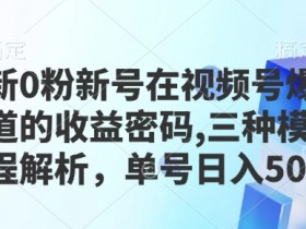 视频号素人直播的收益模式有哪些，多种变现方式的对比分析