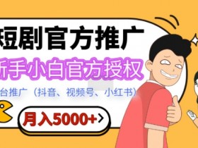 抖音短视频营销案例大全，从创意到转化的全流程复盘