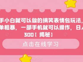 表情包项目如何结合搞笑视频，从段子到表情的流量转化策略