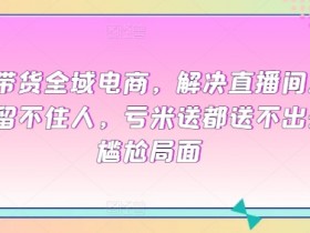 全域电商能做起来吗，全域电商是否能成功运营并获得高回报？